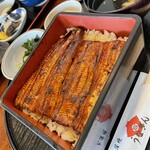 Unagi n - うな重