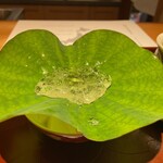 馳走 啐啄一十  - 