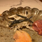 馳走 啐啄一十  - 