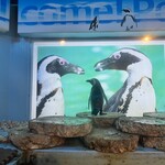 ペンギンのいるダイニングバー沖縄 - 