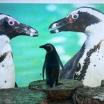 ペンギンのいるダイニングバー沖縄 - 