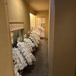 兄弟寿し - 御祝いの胡蝶蘭が沢山