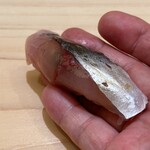 兄弟寿し - 地物 釣り鯵