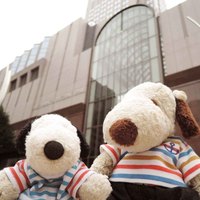 ビュッフェ＆カフェレストラン ナイト＆デイ - 今日は久しぶりに梅田にお出かけ。ホテル阪急インターナショナルにやってきました。
                