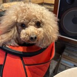 THE NUTS EXCHANGE - ジャーン