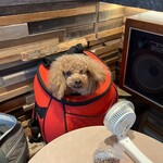 THE NUTS EXCHANGE - 扇風機持参ｗ