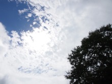 タンボロッジ &ndash; 会津高原尾瀬口の宿泊・食事体験 | 自然と温もりの宿