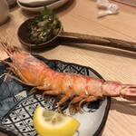 ぴかり魚 - 