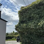 たちばな - さらに奥にも駐車場ありますが、テクニックが必要