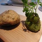 NARISAWA - 森のパン　2010 苔