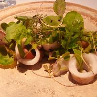NARISAWA - 菜園