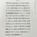 福井県立恐竜博物館  ミュージアムショップ - 説明_2023年7月