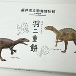 福井県立恐竜博物館  ミュージアムショップ - 羽二重餅_2023年7月