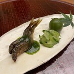 鍋茶屋 光琳 - 三面川の稚鮎　青梅　きゅうり