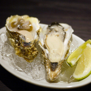 エルビー エイト_1