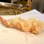 Tempura Sen No Tane - 