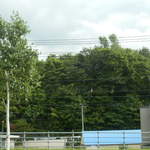 STAR - お祭り会場は、あの山の中