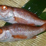 ＳＨＩＮ - 山陰の味覚の代表とも言える、ノドクロです、刺身、塩焼き、煮魚にしても、最高な味を楽しんでいただけると思います。