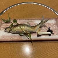 季節割烹 勝味 - 