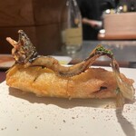 イル アオヤマ - 