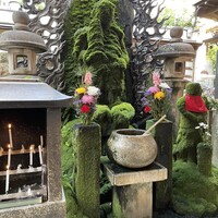 本湖月 -  本湖月 -