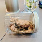 プレゼンテ スギ - 