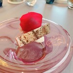 プレゼンテ スギ - GV鰹   裏側