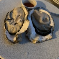 COLONIAL BEACH 横浜ハンマーヘッド - 
