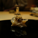 ふじさわ - ミル貝トキモ