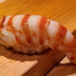 鮨 さかい - ⑱車海老(福岡県志賀島産)
      産卵は初夏～初秋、旬は初夏～初秋
      茹で立ての熱々、身はプリプリで温かなシャリがググッと沈み込みます
      車海老の華やかな甘みと旨味が押し寄せますね