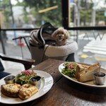 コマザワ パーク カフェ - 愛犬と❤️