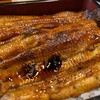 Unagi Ryouri Taga - 鰻重上　5,000円