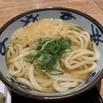 宮武讃岐うどん - うどんアップ