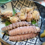 和乃家 -    シャコ400円（2023年7月） 