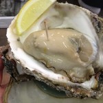 新潟本町 鈴木鮮魚 - 超巨大岩牡蠣！！握りこぶし２つ分以上あるでしょうか。。。まさに日本海の恵みです！！