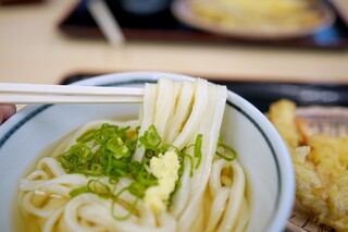 Teuchi Miyatake Udon - 