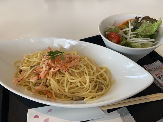サクラcafe SAKURA in full bloom . Standard Café & Gallery靭公園店、緑地