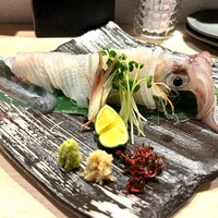 鮨 からす 十三店 - 泳ぎきイカ