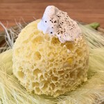 Fujiya 1935 - 気泡をたくさん含ませたトウモロコシのパン