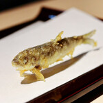 天冨良 銀座 よこ田 - 