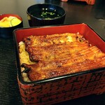 Unagi Kaneichi - 