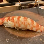 鮨桂太 - クルマエビ