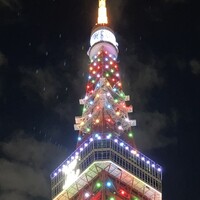 ワカヌイ グリル ダイニング バー 東京 - 