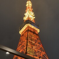 ワカヌイ グリル ダイニング バー 東京 - 