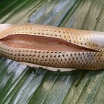 すし処 米泉 - コハダ