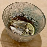 鮨 なんば - ❶新子～涼しげな天草産の新子に沖縄の太めのモズク。2〜3年前には新子がブームだったが、今は話題にもならなくなったな〜。