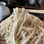 手打そば 松葉屋 - そばアップ