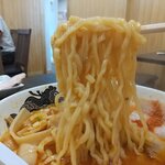 食堂 はせ川 - ツルツル感がマックスの中太麺