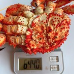 カサイ商店 - 644g(3000円相当)
