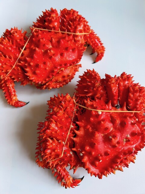 はなさきに、、、にんじん！、、、オヤジ、、、謀ったなぁ～～～ : カサイ商店の写真